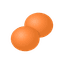 IsoLog logo